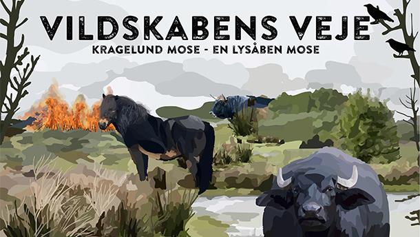 Vildskabens Veje